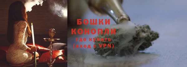 прущие грибы Каменск-Шахтинский