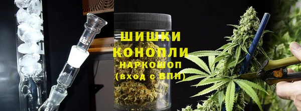 прущие грибы Каменск-Шахтинский
