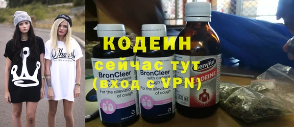 прущие грибы Каменск-Шахтинский