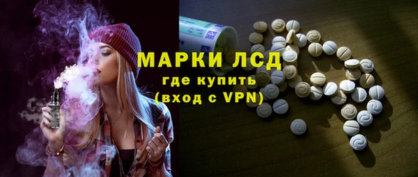 прущие грибы Каменск-Шахтинский