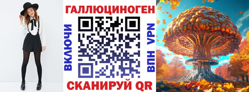 Галлюциногенные грибы Psilocybine cubensis  Купить где  Вихоревка 